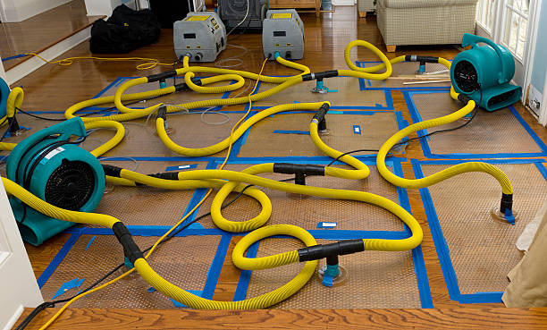 Professional Basement Flood Cleanup technician working in Phillips, WI